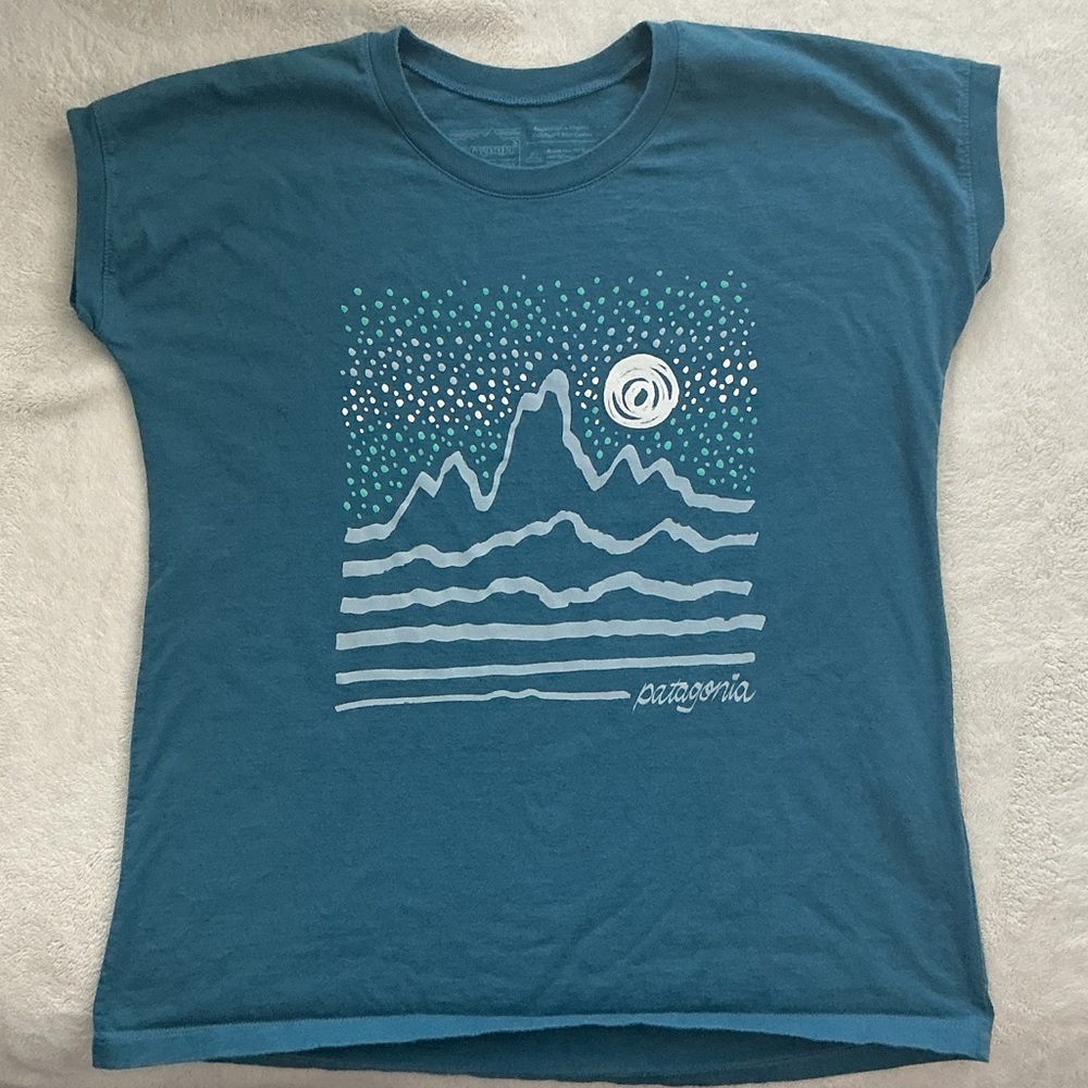 Patagonia Teal Mountain Graphic Tee